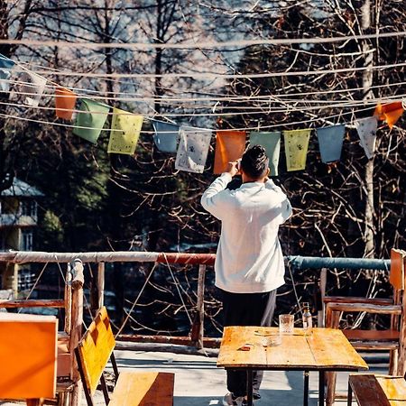 Backpackers Headquarter Manali Hostel ภายนอก รูปภาพ