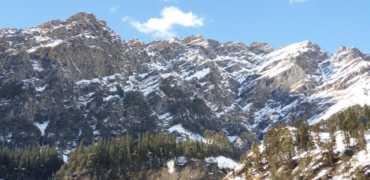 Backpackers Headquarter Manali Hostel ภายนอก รูปภาพ
